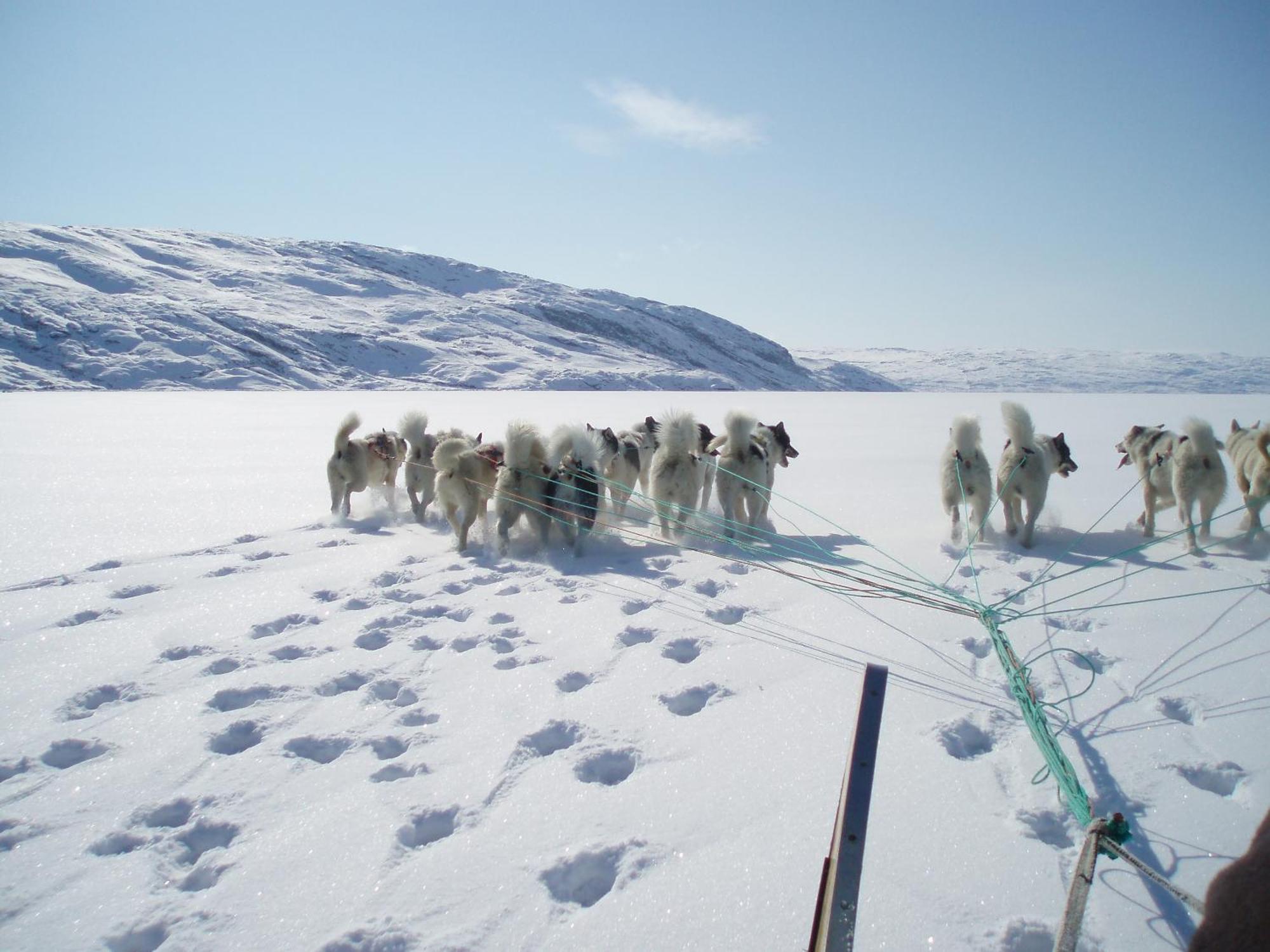 Hotel Icefiord Ιλούλισσατ Εξωτερικό φωτογραφία